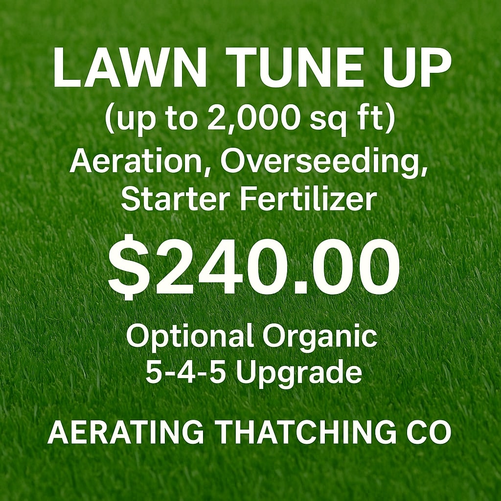 Seattle Area Lawn Tune Ups