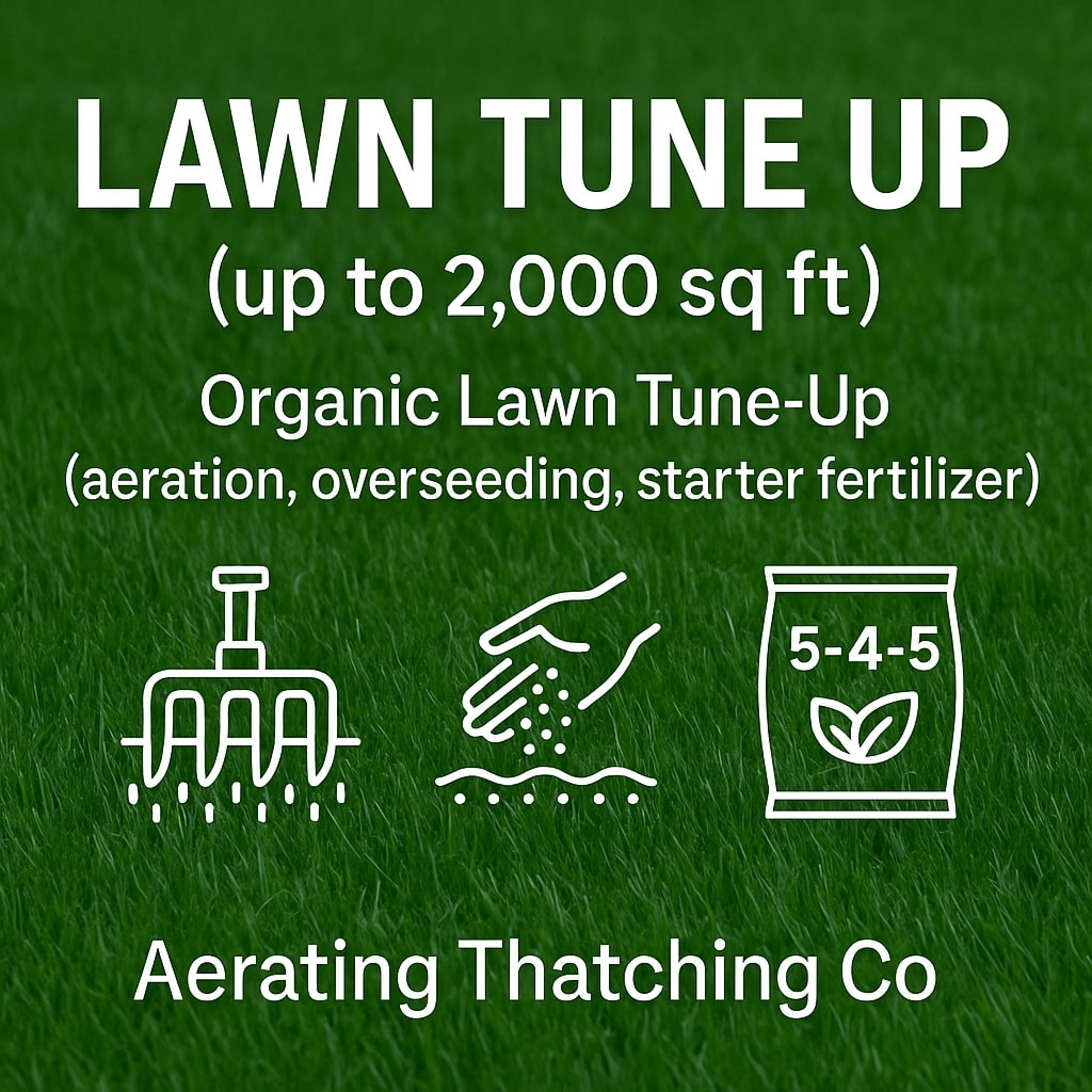 Seattle Area Organic Lawn Tune Ups