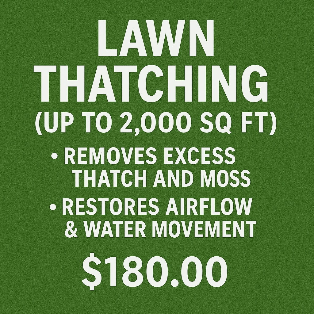 Thatching Services